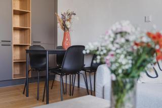 Vysoka Apartments - 3