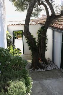 Studio Igrane 5266b - 1