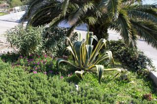 Apartments by the sea Igrane, Makarska - 5266 - 2