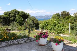 Studio Drace 10135a - 1