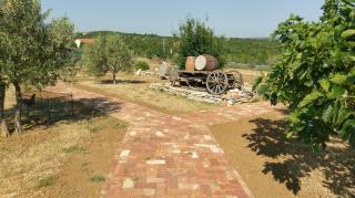 Family friendly house with a swimming pool Popovici, Zagora - 14074 - 1