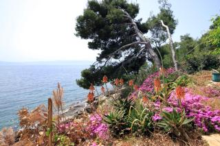 Secluded fisherman's cottage Cove Lucica, Hvar - 4034 - 1