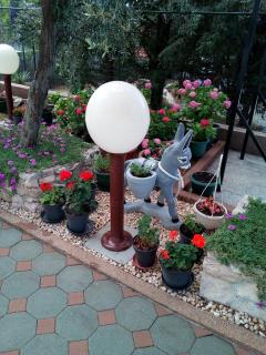 Apartments and rooms with parking space Barbat, Rab - 4862 - 3