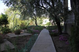 Apartments with parking space Povljana, Pag - 6299 - 2