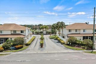 Sunset Palm Stay - Cozy Retreat Near Gulf Beaches - 6