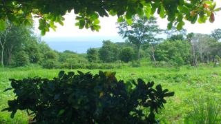 Finca Mystica - 2