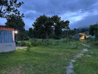 La Ngâu Mơ Bên Suối - 7