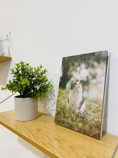 Spacious 3B3R Unit in BukitJalil - 6