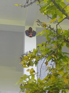 villa Calm Haven - Unawatuna - 3