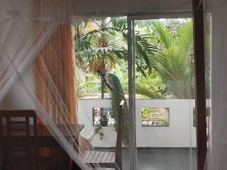 One-plus Holiday Homes Mirissa - 8