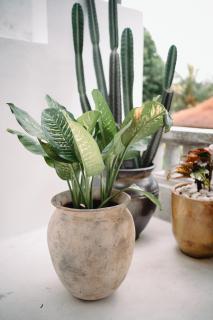 Pondok Villa Ubud Centre - 2