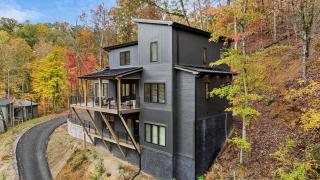 Modern Cabin with Pool, Theater & Billiards - 3