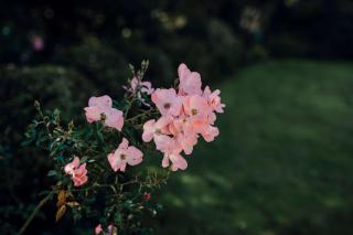Mt Taranaki Vista - rural escape with scenic views - 5