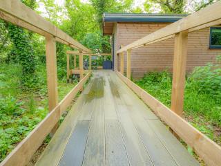 Woodpecker - Uk43451 - 9