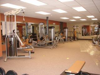 The Beachside Harborfront Hideaway - New Buffalo - 5