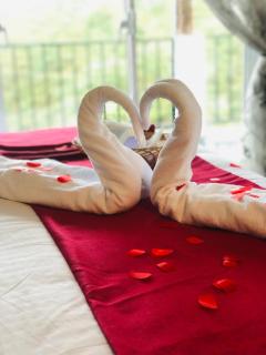 Top View Cottage - 7