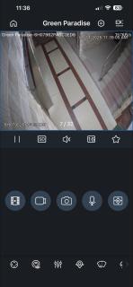 Green Paradise,North Doctorpara,Feni Sadar,Feni,Bangladesh - 3