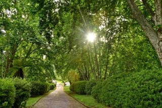 Champagne Castle Hotel - 1