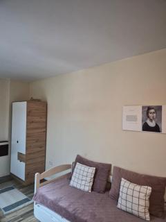 Centar Novi Sad Studio No2 PARKING ON REQUEST - 8