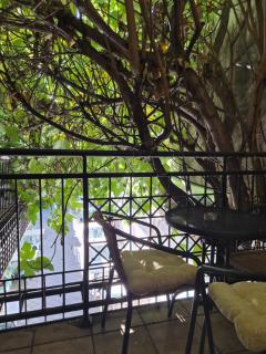 Centar Novi Sad Studio No2 PARKING ON REQUEST - 6