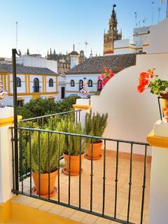 Hotel Boutique Elvira Plaza - Siviglia - 7