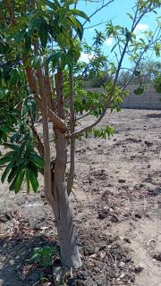 Serene Haven of Rest - 4