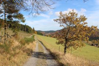 Gasthof Braun - Schmallenberg - 1
