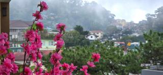 Baguio and Japan Fusion in Baguio City - 9