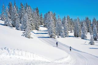 Appartement Ennsperle - 1