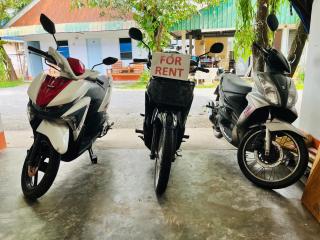 Montra Guesthouse - 1