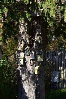 The Holidayhouse - 2