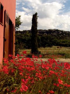 Maison Rouge - 3