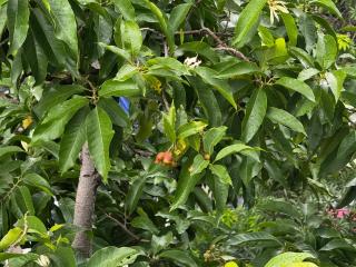 Misaki HCM Airport Hotel - 6