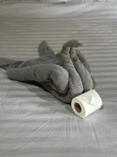 FourTwoEight Pai Resort - 2