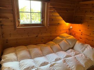 Cozy family cabin at Hovden - Bykle - 3