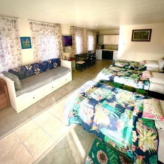 Rooi Bij de Knoptoren B&B - 7