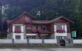Pensiune AVA Sinaia - 9