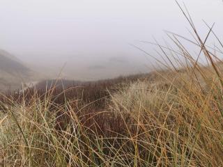 6 person holiday home in Ringkøbing - 4