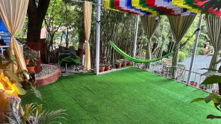 Institute Of Natural Medicine , Yoga & Therapy home - 8