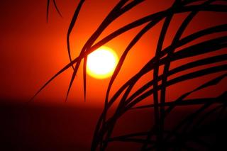 El Cottage de Vaco - 0