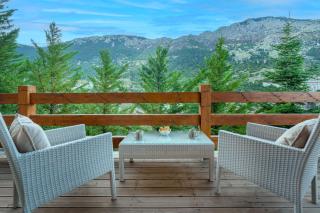 the mountain house in parnassus - 8