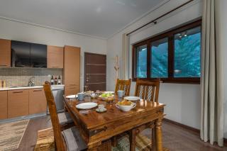 the mountain house in parnassus - 2