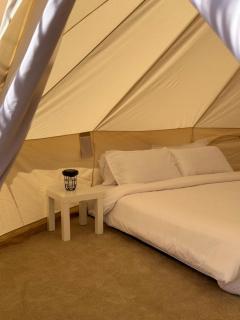 Royal desert camp - 5