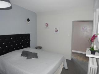 hôtel restaurant du cygne - 1