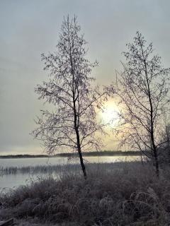 Kuikkaniemen Rantamökki - 2