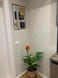 Tirana Magnifique Apartments - 9