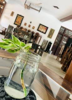 Saman Resort Yala - 3