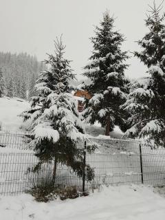 Casa Aurici Vatra Dornei - 9