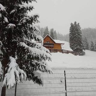 Casa Aurici Vatra Dornei - 0