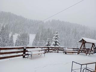 Casa Aurici Vatra Dornei - 6